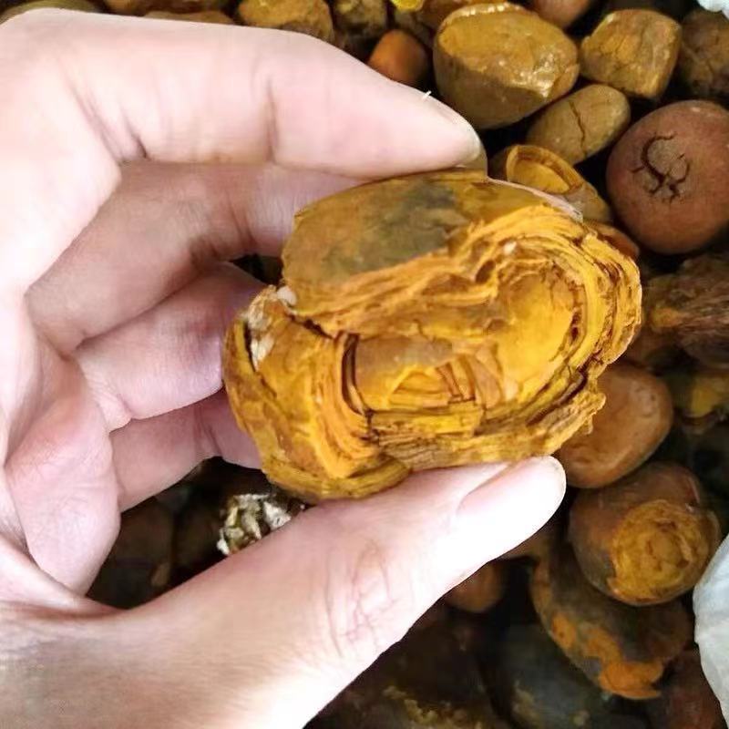 牛黄牛黄正宗牛黄 牛胆黄 牛黄粉牛结石1克干货 天然牛黄二克