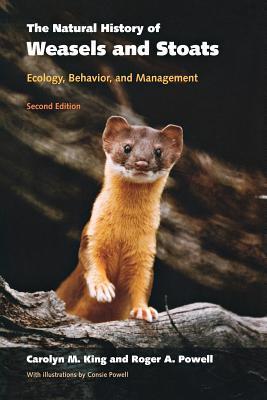 预订 高被引the natural history of weasels and stoats: e