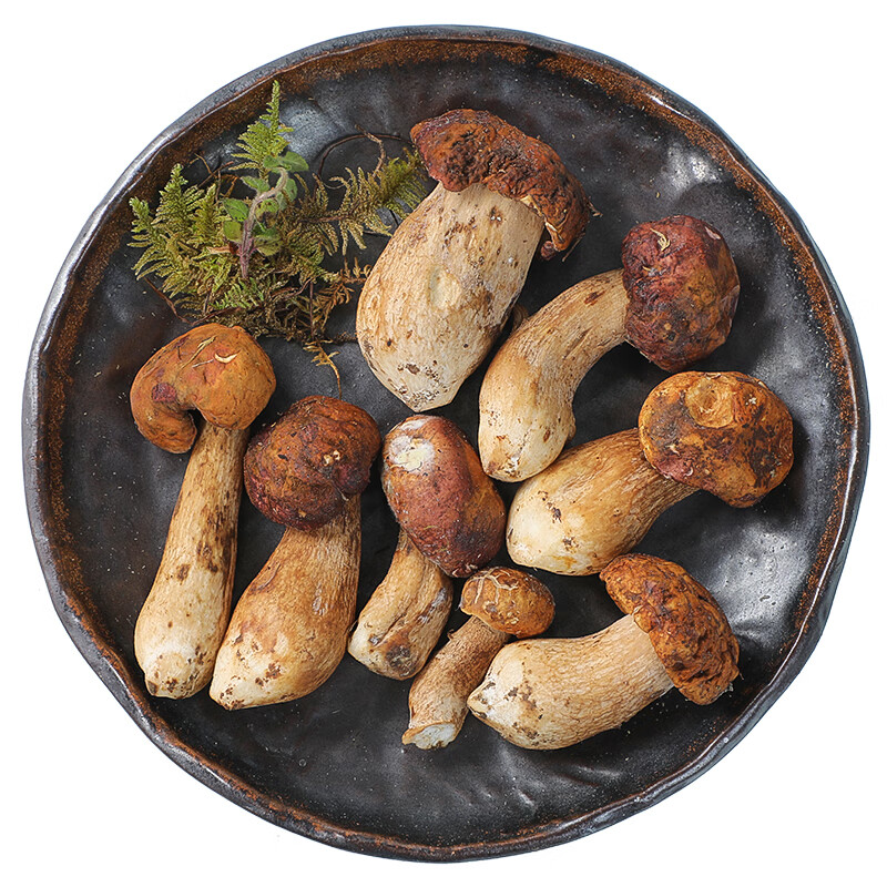 京百味黑牛肝菌200g使用感如何?