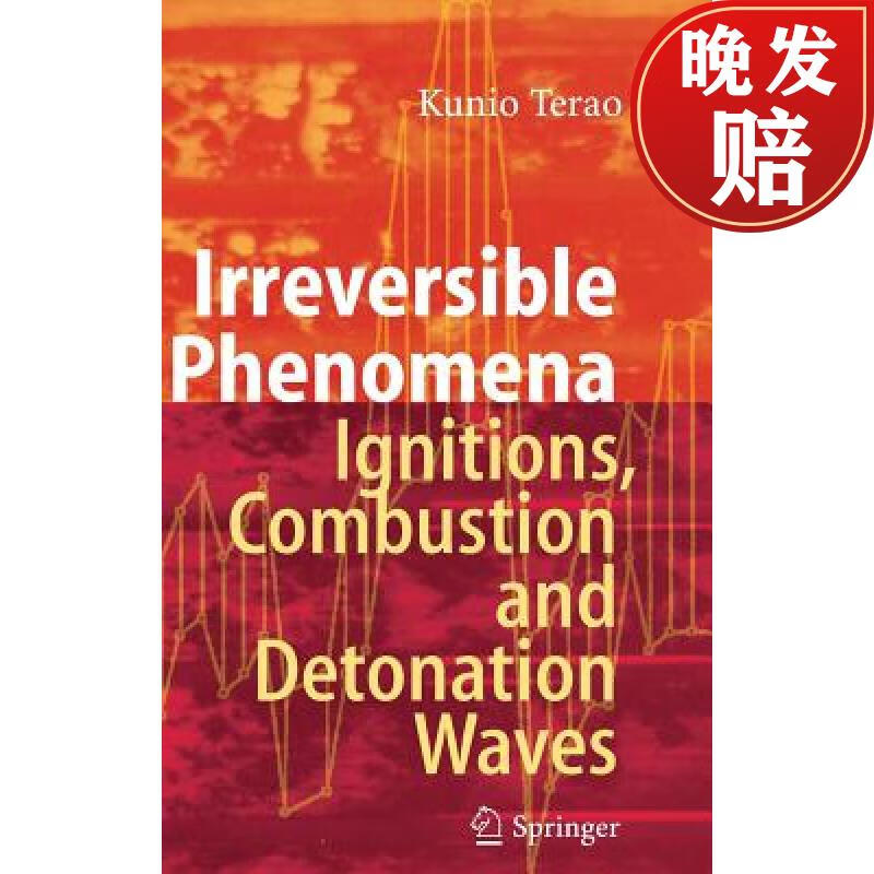 【4周达】irreversible phenomena : ignitions, combustion and