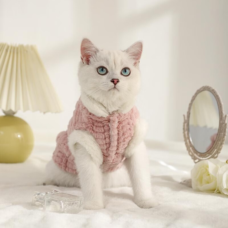 星舵秋冬季猫咪衣服加绒保暖布偶英短银渐层幼崽宠物可爱防掉毛棉定制
