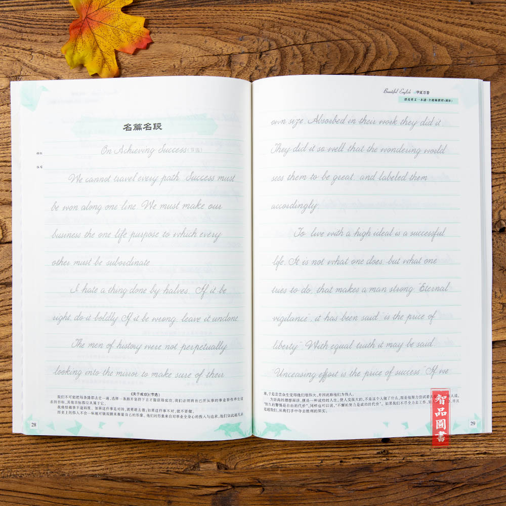 圆体漂亮英文一本通 于佩安花体英语临摹描红临写英文初中生高中生