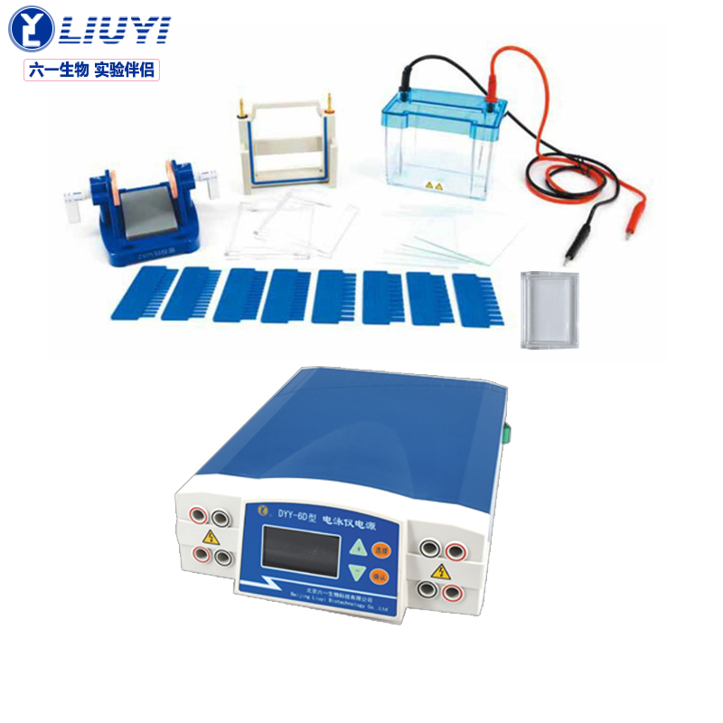仪电源套装2实验电泳槽dna蛋白制胶核酸凝胶器化学物理分析电泳装置