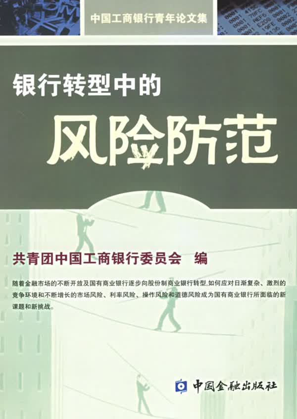 银行转型中的风险防范【正版书籍】