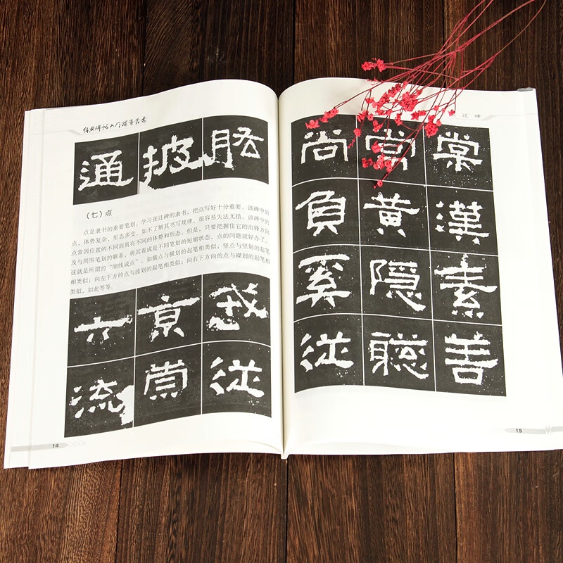 张迁碑入门辅导 经典碑帖入门辅导丛书  技法教程 中国书店 隶属字帖