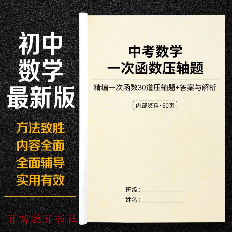 初中考数学一次二次函数压轴题40道高频考试重点重难点突破答案训练本