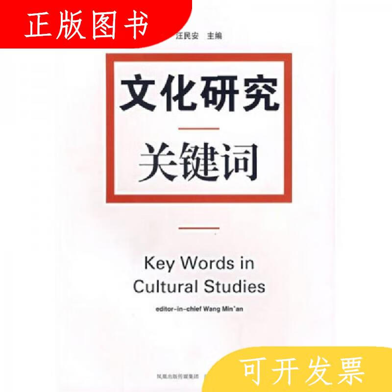 江苏人民出版社文化研究关键词9787214044303汪民安