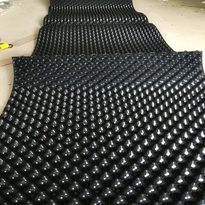 c7 蓄排水板宽50 土工布透水各一平方新料加厚加硬