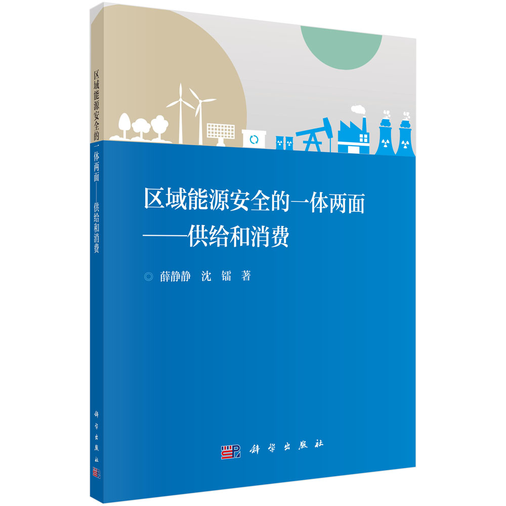 区域能源安全的一体两面:供给和消费