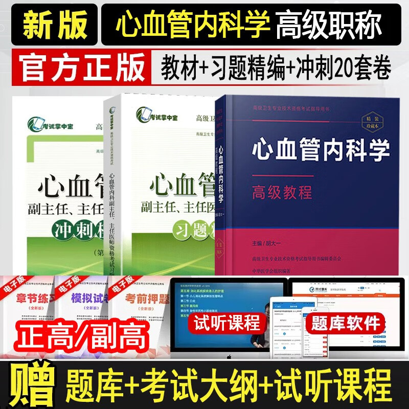 心血管内科学副主任医师考试书2024心血管内科副主任医师主任医师副高级职称考试教材+习题+冲刺卷心内科主任医生正高级卫生专业技术资格历年真题库资料