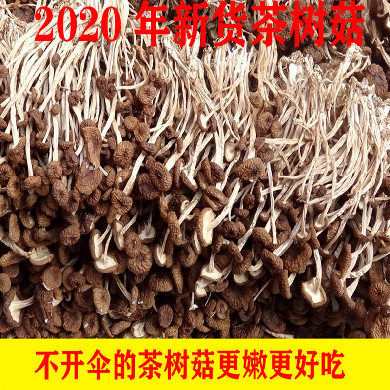 古田茶树菇农家特产干货特级不开伞茶树菇无硫2020年新货50g250g 500g特级不开伞茶树菇