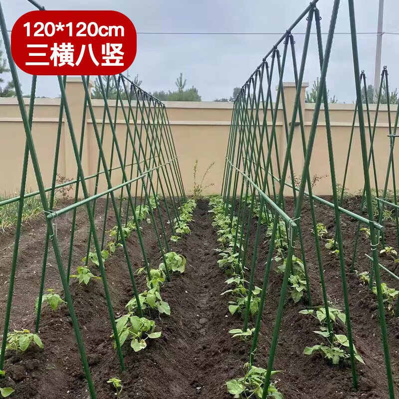 恰好时光爬藤架园艺支架花架葡萄架菜园户外架120*120三横八竖管径11mm 怎么样,好用不?