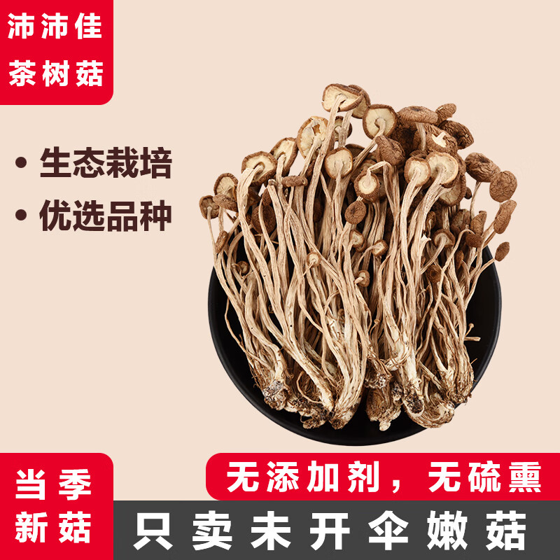 沛沛佳 云南茶树菇200g 精选干货 茶树菇煲汤炒菜火锅食材 源头直发包邮
