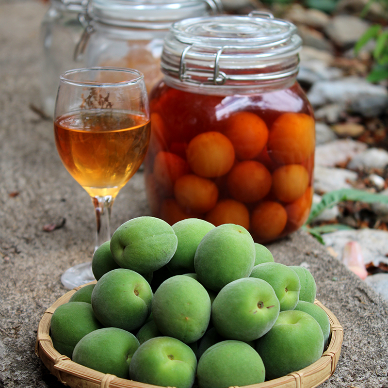 云南青梅果新鲜现摘大理高山野生生脆酸梅子泡酒酵素水果鲜果 云南