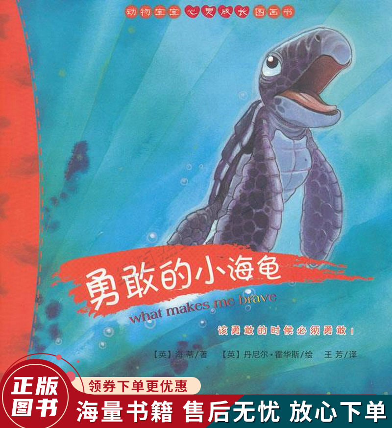 勇敢的小海龟