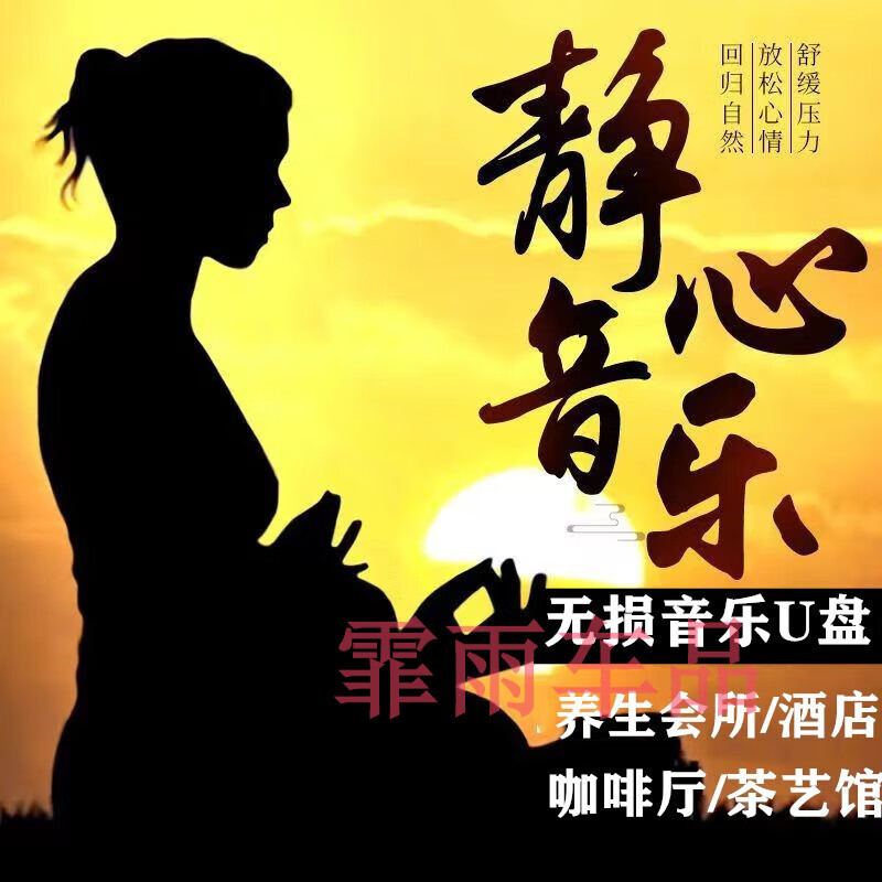 闲遇打坐冥想静心修身养性仙音静乐轻音乐车载u盘歌曲mp3