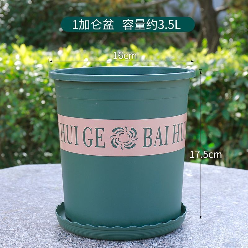 高1加仑口径16cm高17