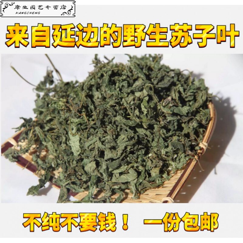 弘美干东北紫苏野苏子叶干延边狗酱鱼汤朝鲜族苏子叶