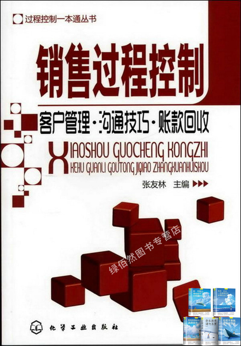 过程控制一本通丛书:销售过程控制客户管理·沟通技巧·账款回收