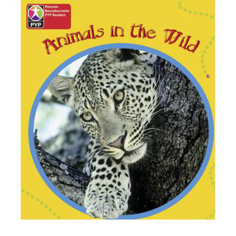现货 primary years programme level 1 animals in the wild 6pack
