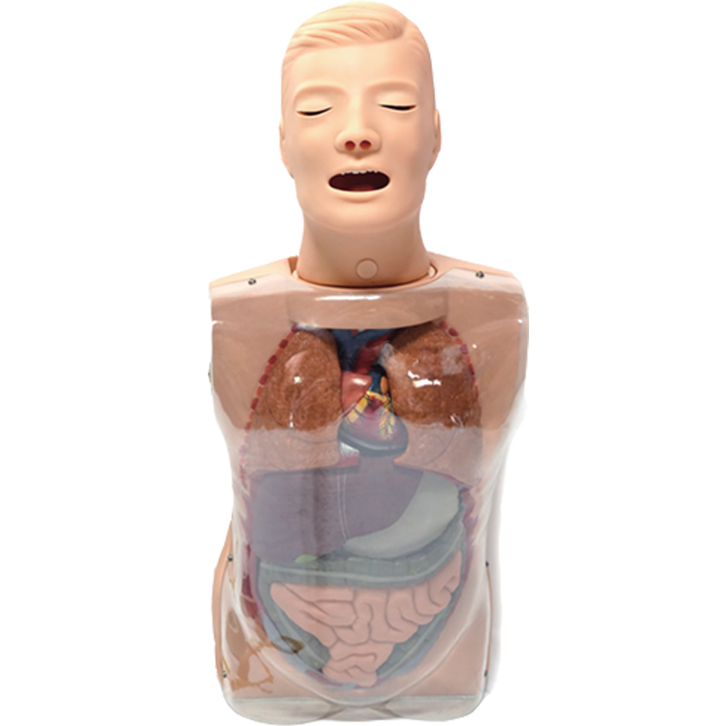 三腔二囊管训练模型佳悦科教通h82