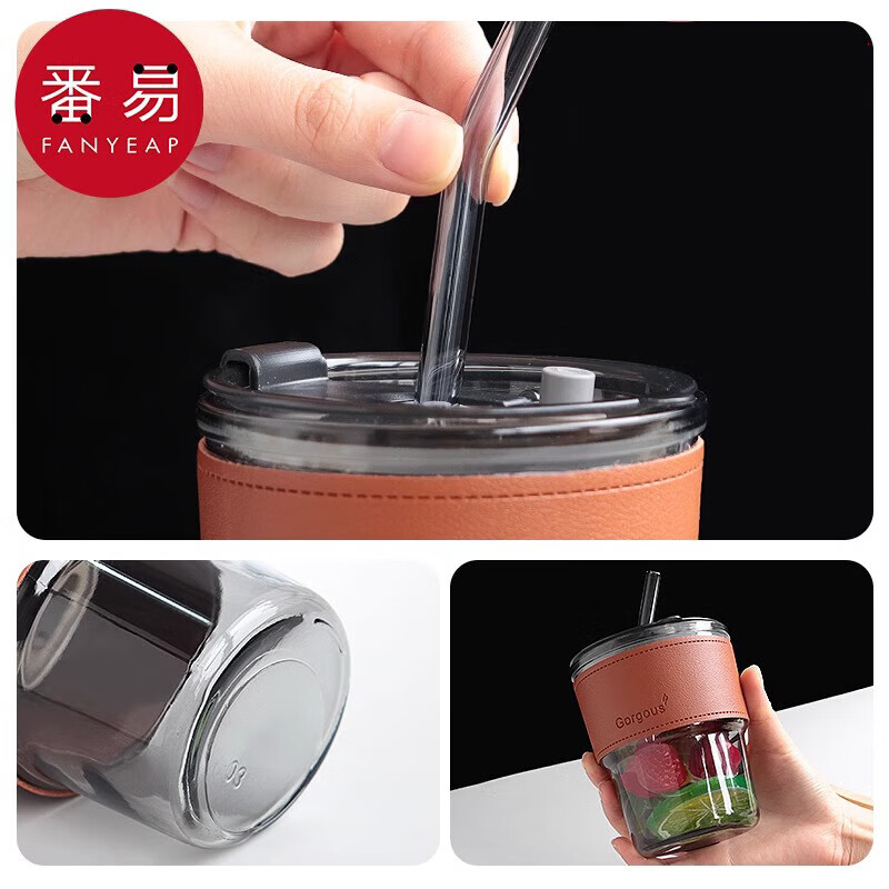 番易值吸管式杯子小巧便携带盖随手家用水杯咖啡杯高颜杯玻璃吸管杯 透明图案400ml 1套 400ml