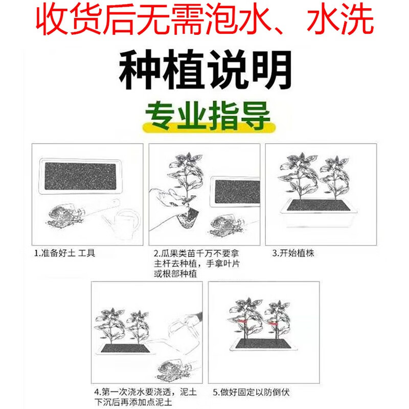 申之北草莓苗东北大地甜草莓带土耐寒抗冻绿色有机四季盆栽栽上即活 20颗限购一份