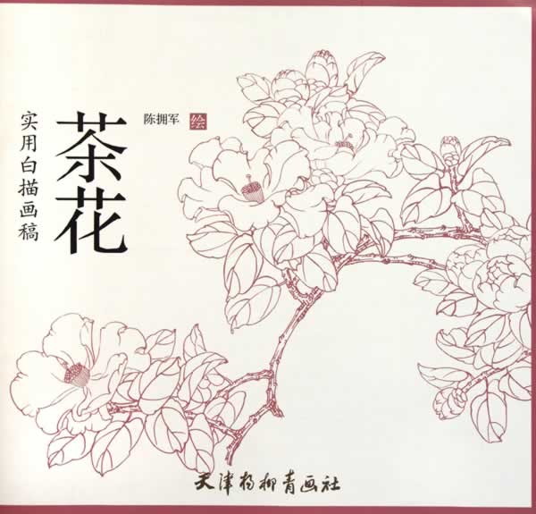 实用白描画稿 茶花【正版图书】