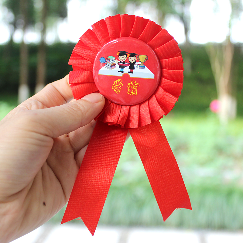 小学生开学季奖品幼儿园老师表彰红色小红花胸花激励励志学霸礼物