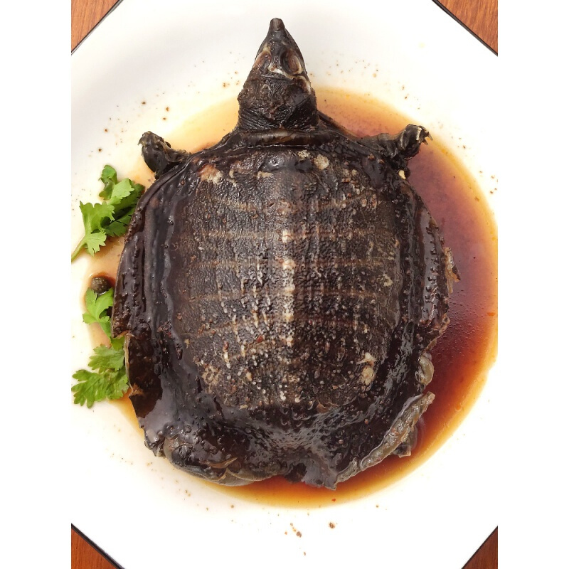 虎钢馋卤甲鱼团鱼憋肉麻辣小甲鱼水鱼王八卤味香辣熟食即食新鲜鲜活现