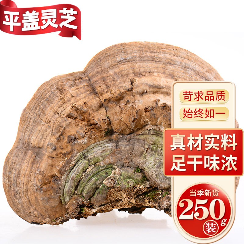 吉雪 长白山平盖灵芝树舌灵芝青芝林下深山整枝林芝可切片泡酒煲汤 平