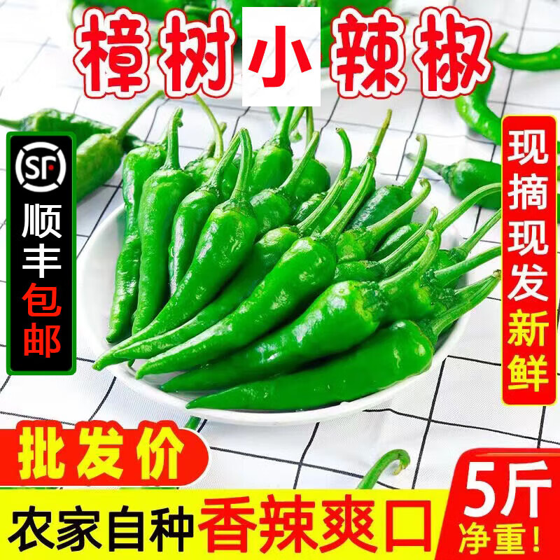映棠正宗湖南岳阳特产樟树小辣椒本现摘现发新鲜蔬菜薄皮辣椒青线椒 樟树小辣椒 5斤 发顺丰【东三西三海南+30】