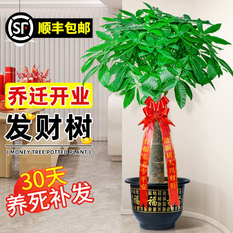 ���ڲ��������ŷ�������Ǩ��ҵ������ֲ�������������ڰ칫�Ҳ����ߴ���ֲ����� ���˷�����1.2-1.3�� �������衿+ר����+�ʴ�+��