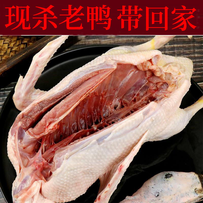 5年老鸭农家散养老鸭子土鸭水鸭老麻鸭子肉整只现杀速冻 5年老鸭7斤