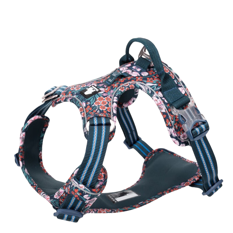 TRUELOVEǣʽ޹СȮر̩ϽëƷ» 黨ࣨǣ MΧ56-69cm7-18kg 273.99Ԫ3(91.33Ԫ/)