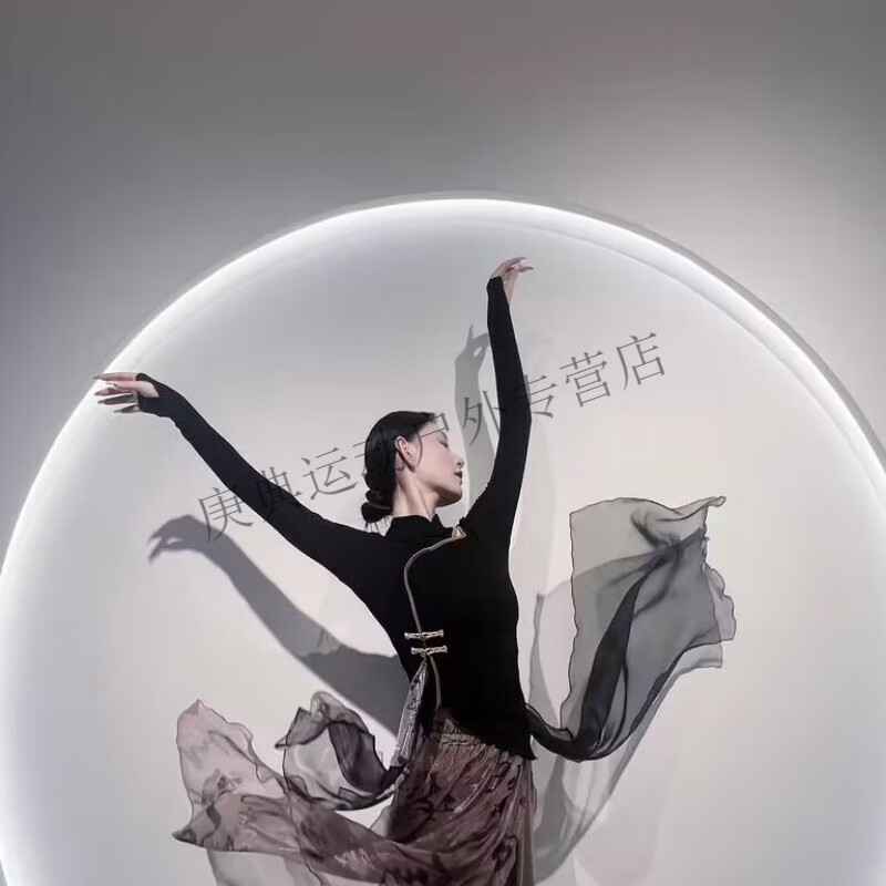 炫逐古典舞蹈服女修身飘逸秋冬新款中国风长袖舞蹈练功服现代舞演出服 黑色单上衣 S