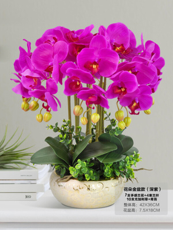 花真蝴蝶兰3d手感保湿兰花装饰家居客厅酒店前台 雅兰-花朵金盆款深紫