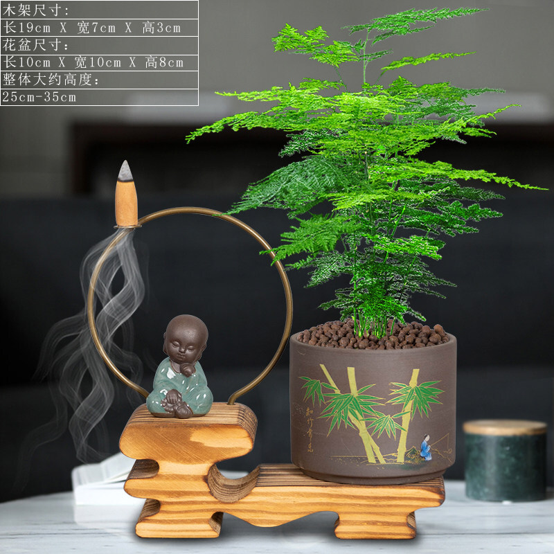 竹姬 相关京东优惠商品 2 价格图片品牌优惠券 虎窝购