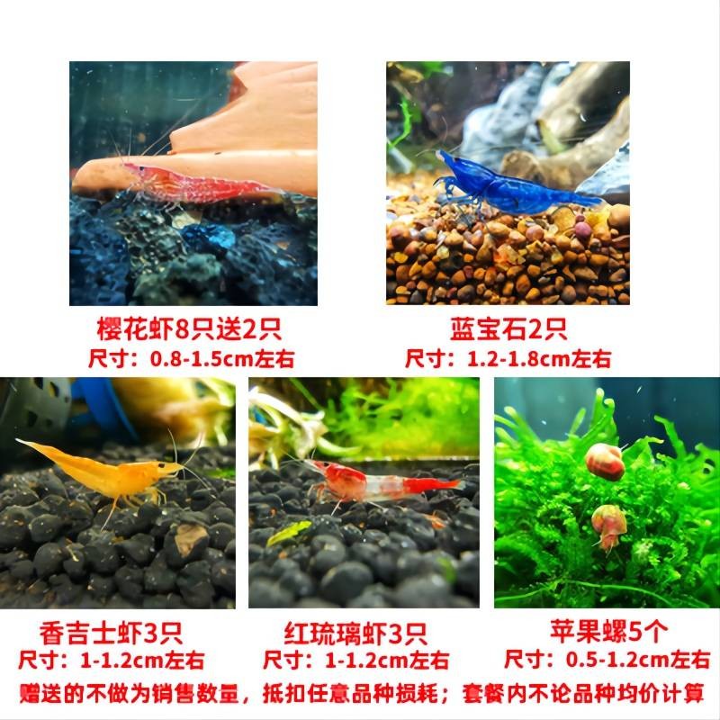 哪个App有水族活体价格曲线|水族活体价格比较