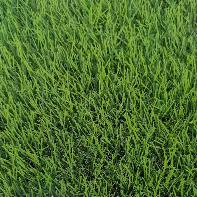 假草坪露台绿色塑料假草坪草坪地毯草坪地垫假草皮人造草坪仿真草皮