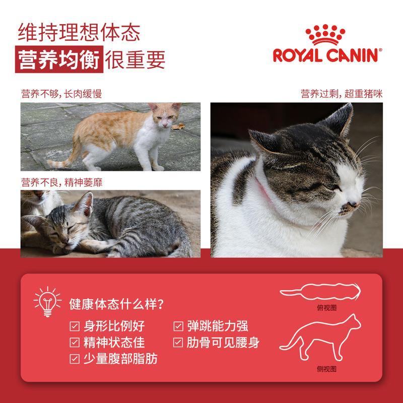 皇家猫粮 成猫猫粮 营养均衡 F32 通用粮 1-7岁 2KG