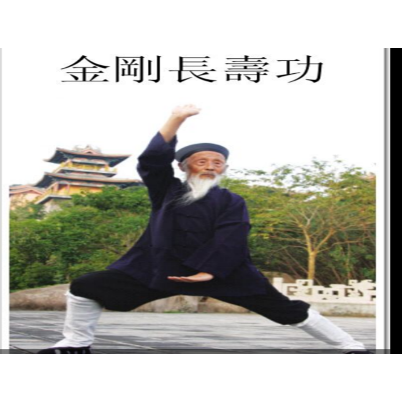 张至顺长寿八部金刚功视频教程道教武术养生修真米晶子功法油麻菜