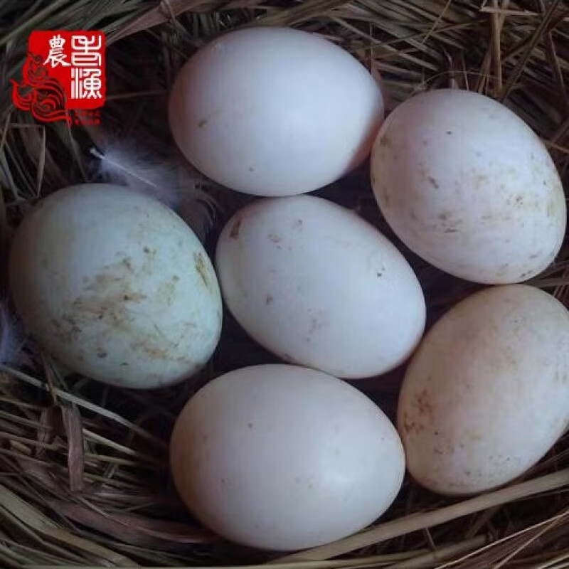 湘明有絮紅心鴨蛋散養(yǎng)青皮生鴨蛋咸鴨蛋新鮮老麻鴨蛋農(nóng)家草鴨蛋生態(tài)土鴨蛋 20枚