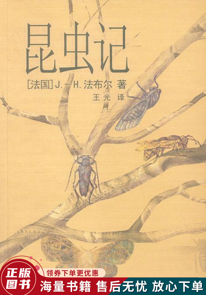 昆虫记:插图珍藏本