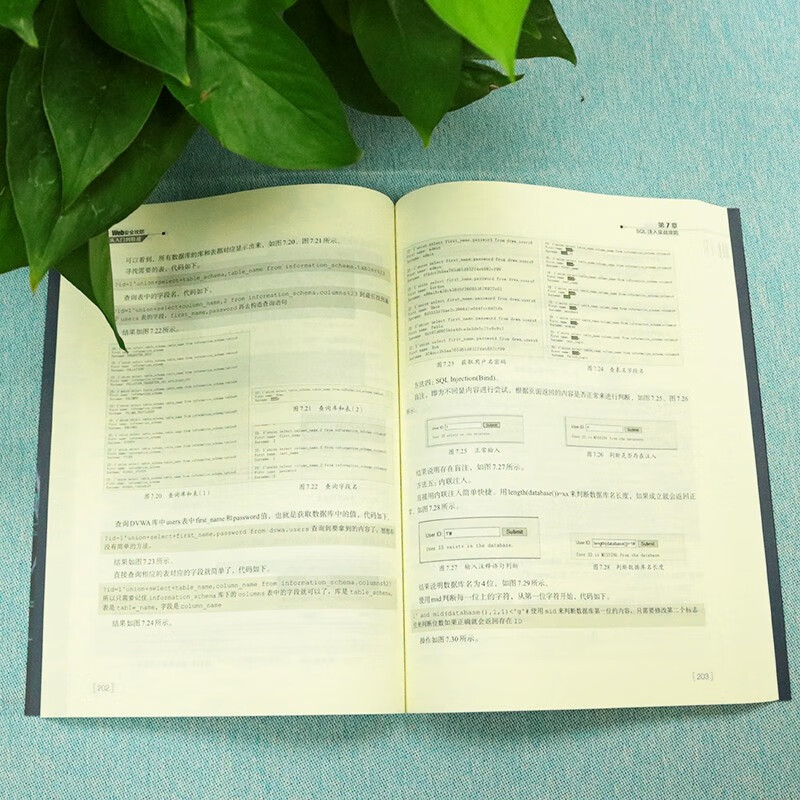 Web安全攻防从入门到精通 提高Web安全漏洞利用技术与渗透测试技巧详情图