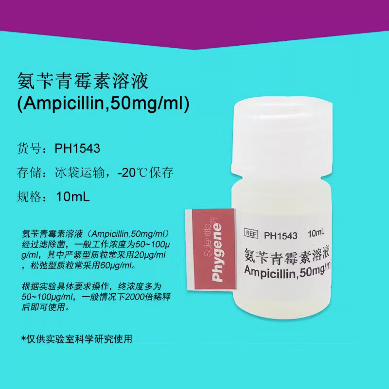ph1543 氨苄青霉素溶液 ampicillin 50mg/ml 科研 10ml phygene 10ml