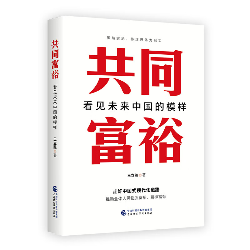 共同富裕 看见未来中国的模样 王立胜著