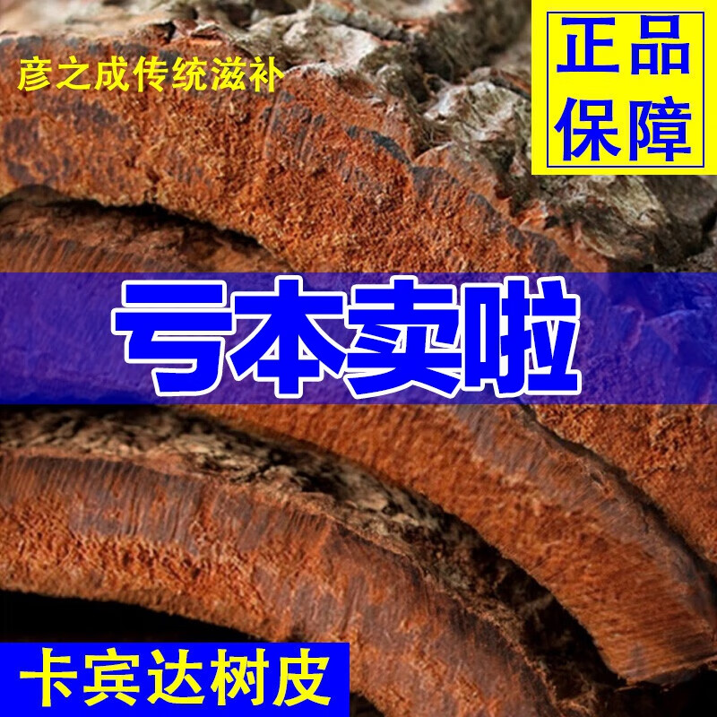 有仁堂 特厚卡宾达树皮非洲安哥拉老树皮 100g(体验装)