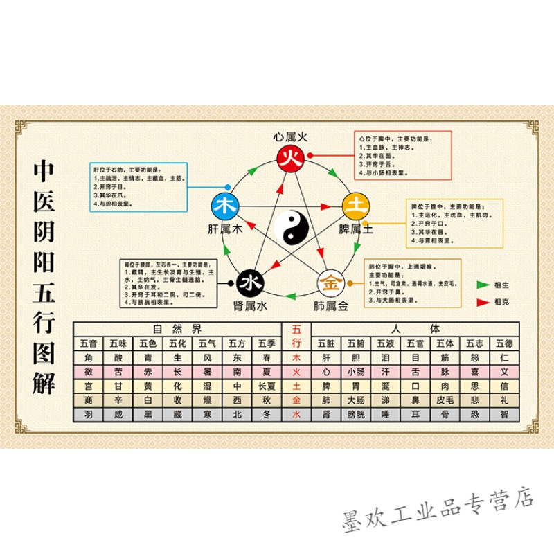 定制适用馆五行图解挂图挂画定制 人体五行五脏相生相克海报贴图 bgg