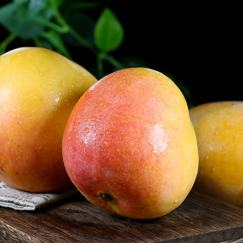 (顺丰现发)海南黄金澳芒礼盒装芒果新鲜现摘孕妇水果黄皮芒特大果香甜